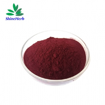 Blueberry Extract Anthocyanin