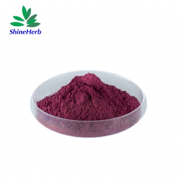 Blackcurrant Extract Anthocyanin