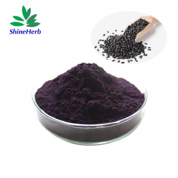 Black Rice Extract Anthocyanin