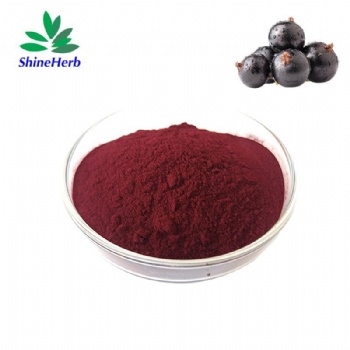 Aronia Extract