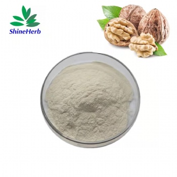 Walnut Peptide Powder