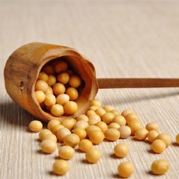 Soybean peptide powder