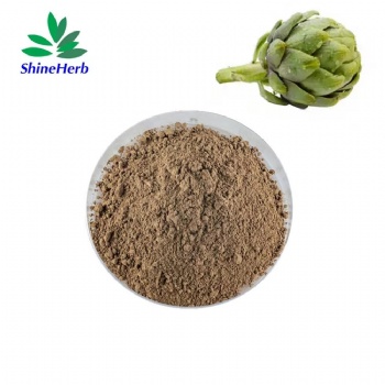 Artichoke Extract