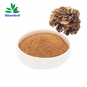 Maitake Mushroom Extract