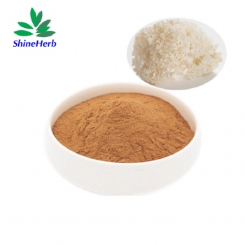 Sparassis Crispa Extract