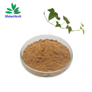 Ivy leaf extract