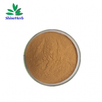 Ivy leaf extract