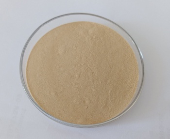 Zinc Enriched Yeast