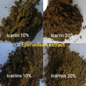 Epimedium Extract