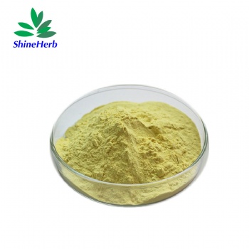 Scutellaria Baicalensis Extract