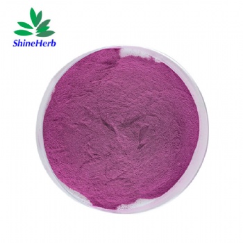 Purple Carrot Pigment