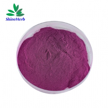 Purple Carrot Pigment